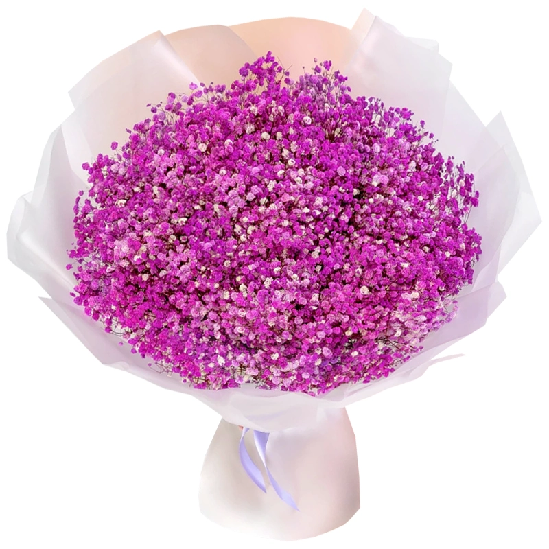 Букет из 51 розовой гипсофилы