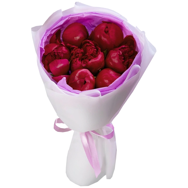 Букет из 7 бордовых пионов